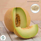 45 Cantaloupe Seeds (Asia Fruit)